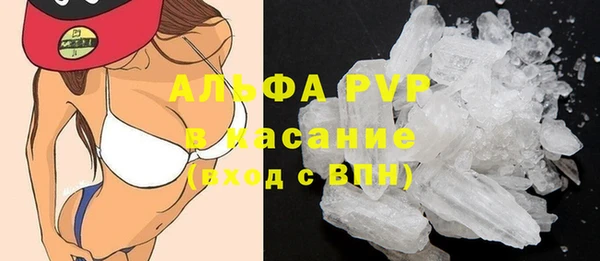 твердый Абаза