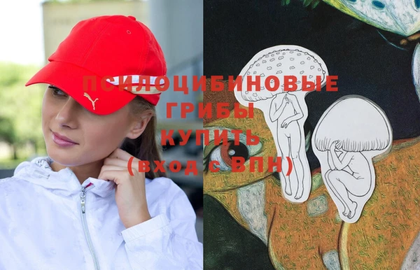 эйфоретик Алексеевка