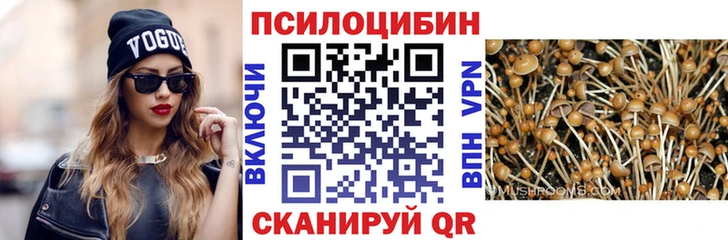 Галлюциногенные грибы Cubensis  Краснозаводск 